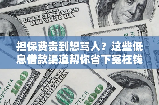 济南担保费贵到想骂人？这些低息借款渠道帮你省下冤枉钱