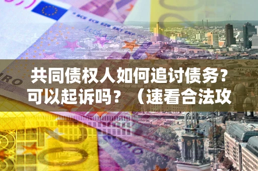 济南共同债权人如何追讨债务？可以起诉吗？（速看合法攻略）
